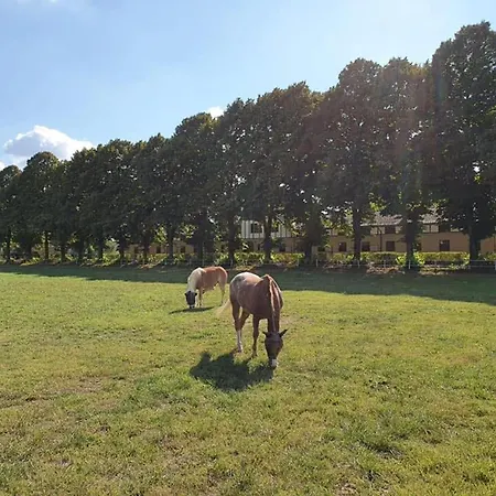 Tenuta 